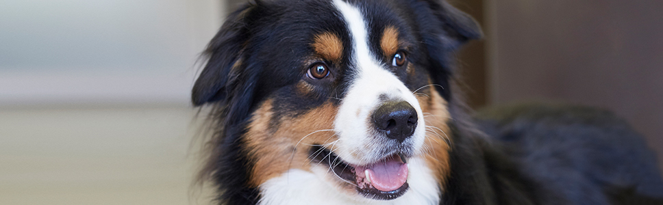 Zu Ihrer Information: